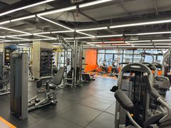 -健身专家Wellness Experts