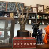 是咖啡☕️续命的一天