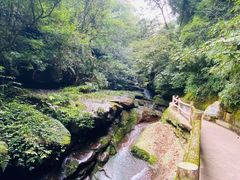 -碧峰峡风景区