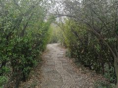 -宝泉胜境旅游度假区