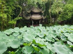 -三苏祠