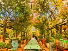 -The Grounds of Alexandria
