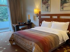 -雅安楠水阁温泉酒店