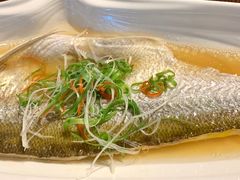 -逸林轩中餐厅(中信泰富朱家角锦江酒店)