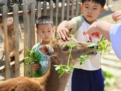 -北京麋鹿生态实验中心