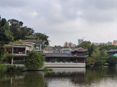 -荔湾湖公园