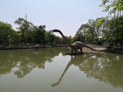 -上海海湾国家森林公园