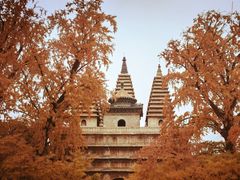 -北京石刻艺术博物馆(五塔寺)