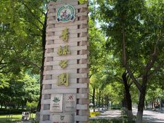 -青枫公园