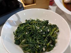 -大鸽饭(马王堆店)