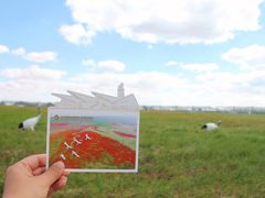 -盐城丹顶鹤湿地生态旅游区