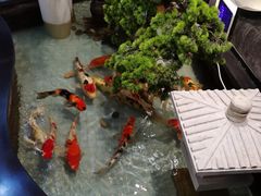 -长赢养生(平度店)