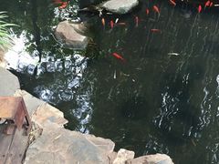 -新竹里馆·花园餐厅(兴苑路店)