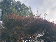 -雅达·阳羡溪山小镇中心