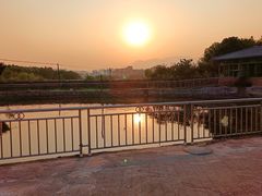 -农家小院土菜馆(斩坑桥店)