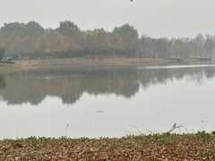 -东郊湿地公园