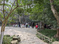 -虎跑公园