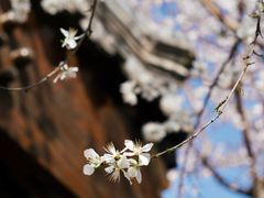 -三里河公园