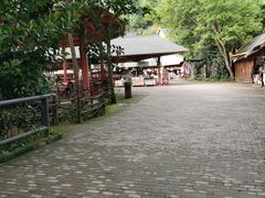 -西双版纳原始森林公园
