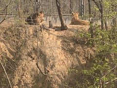 -石家庄市动物园