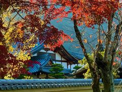 -天龙寺