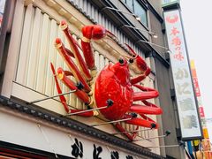 -蟹道乐(道顿堀本店)