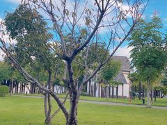 -太阳岛度假酒店