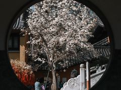 -灵谷景区
