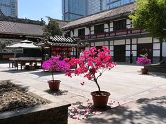 -古大圣慈寺