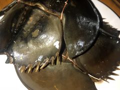 -芭提雅Amporn Seafood自助餐厅