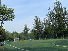 -太阳宫足球俱乐部