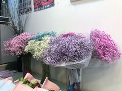 -双季花艺园艺市场(浦东店)