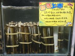 -蚝专家(北滘店)
