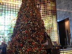 iphone_upload_pic-北京康莱德酒店