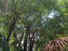 -广州长隆飞鸟乐园