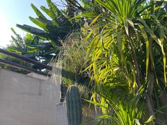 -三圣花乡旅游区