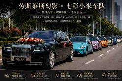 -喜乐汇·婚车(华润橡树湾3期店)