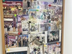 -青奢宠物·青奢猫舍