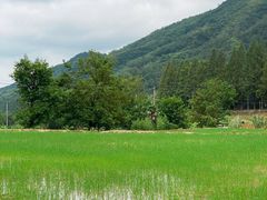 -东天目山风景区