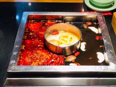 菌汤锅底-蜀江龙火锅(339店)