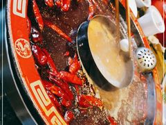 -叉叉裤鲜火锅(空港新城店)