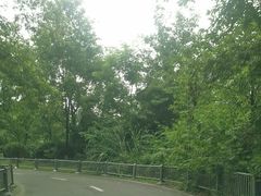 -桤木河湿地公园