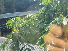 -侨美唐荔园·宴会厅(唐荔园食艺馆店)