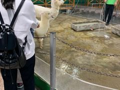 -上海昆虫博物馆