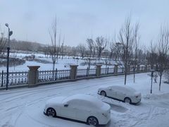 -杨三烧烤(人民大路店)