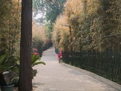 -红螺寺