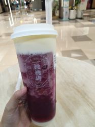 芝芝多肉葡萄-桃桃屿·潮牌酷银(世纪荟店)