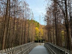 -福道