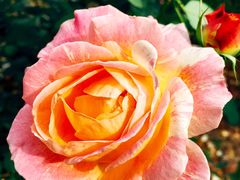 -人民公园(罗湖区)