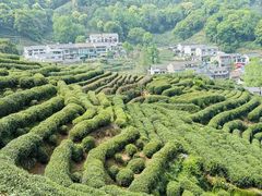-十里琅珰